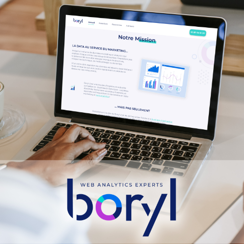 Boryl logo website project